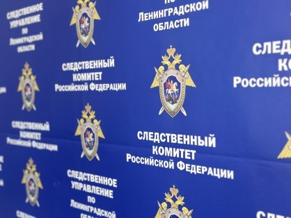 В Кировском районе Ленинградской области задержана женщина по подозрению в убийстве знакомой