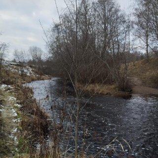 В Кировском районе Ленинградской области возбуждено уголовное дело по факту обнаружения тела мужчины