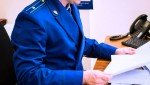 Кировской городской прокуратурой организована проверка обстоятельств гибели несовершеннолетнего в результате несчастного случая в лесном массиве
